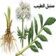 ● سنبل الطیب(سنبل کوهی)